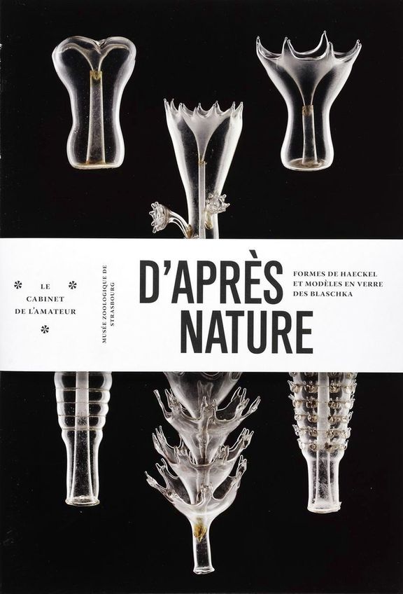 D’après nature
